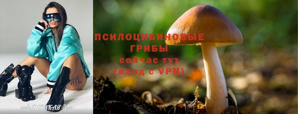 эйфоретик Балабаново
